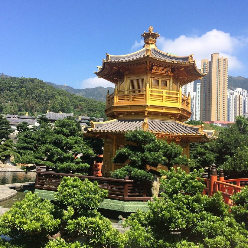 Guangzhou Liwan dim sum tour — photo 8